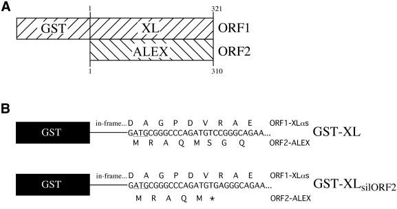 graphic file with name cde358f10.jpg