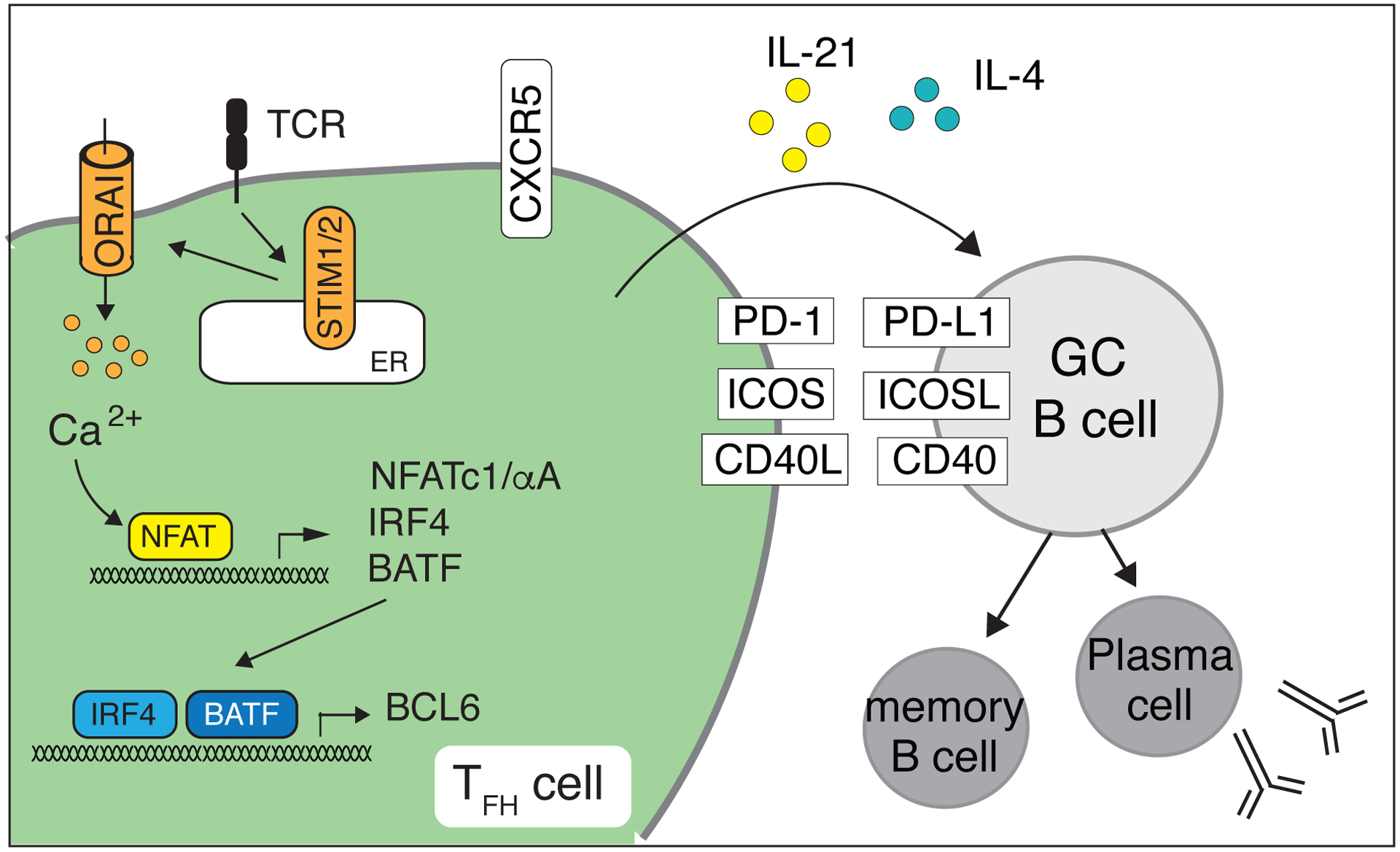 Figure 7.