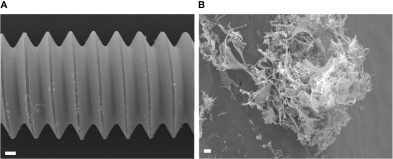 Figure 7