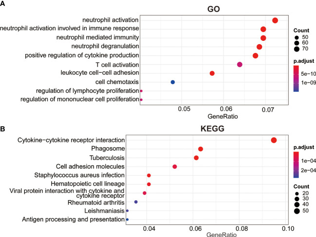 Figure 5