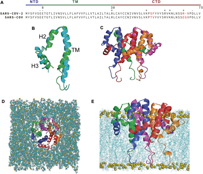 FIGURE 1