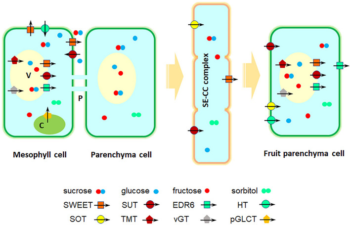 Fig. 2