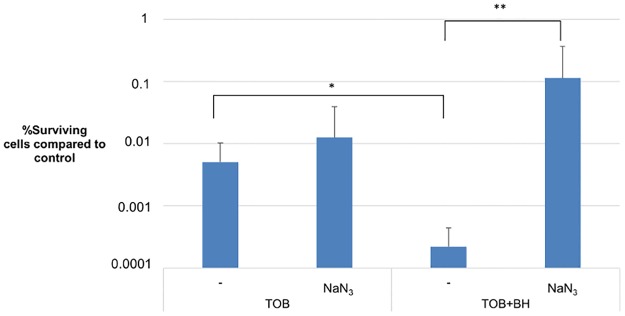 Fig 6