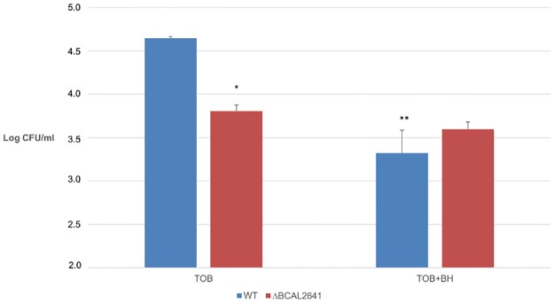 Fig 10