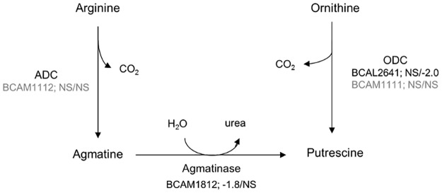 Fig 9