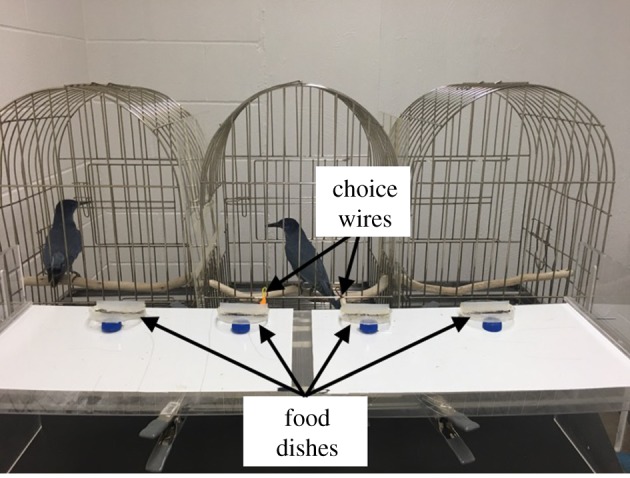 Figure 1.