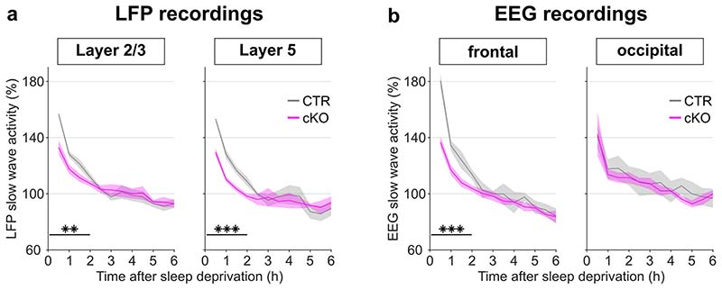 Extended Data Fig. 7