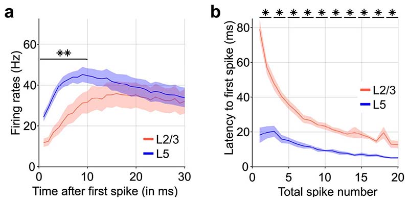 Extended Data Fig. 1