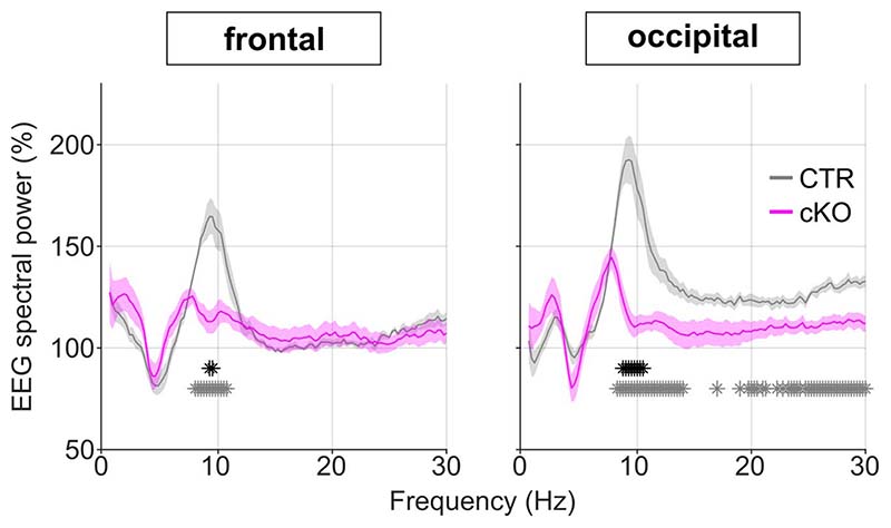 Extended Data Fig. 8