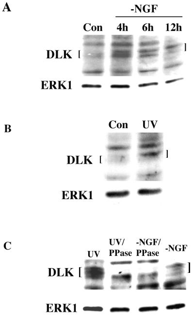 FIG. 9