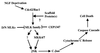 FIG. 13