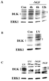 FIG. 9