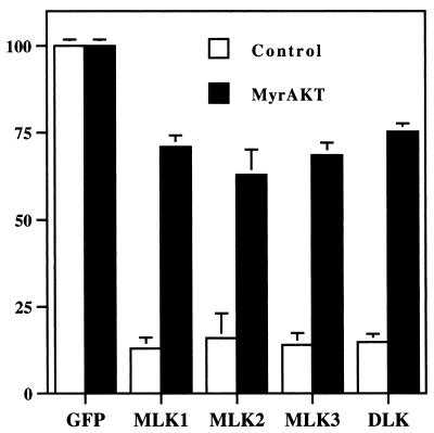 FIG. 11