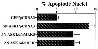 FIG. 12