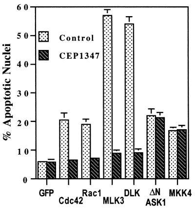 FIG. 10