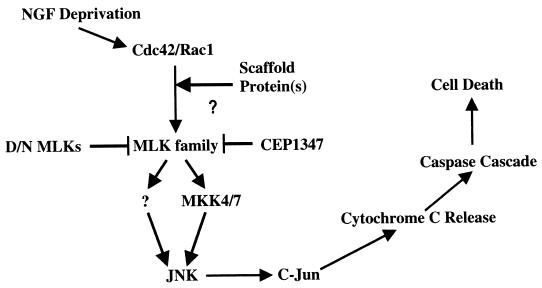 FIG. 13