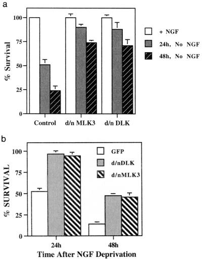 FIG. 8