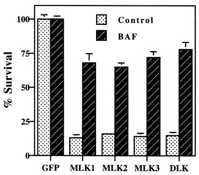 FIG. 6