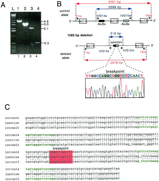 Figure  2