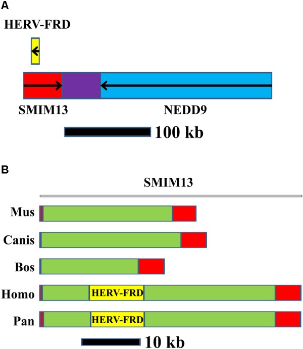 FIGURE 3