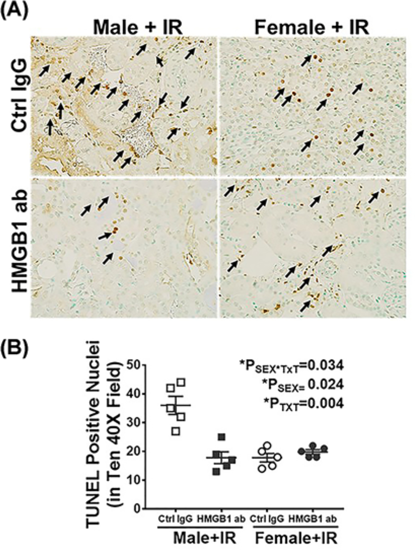 Figure 6.