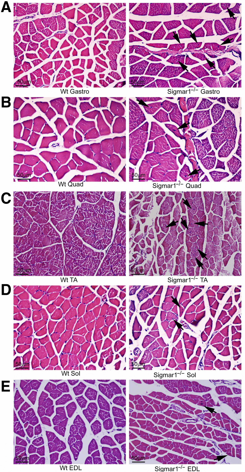 Figure 9