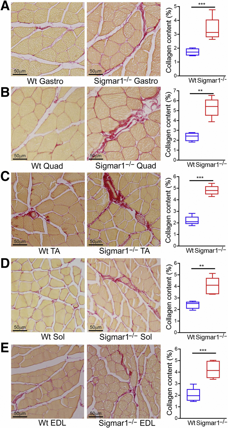 Figure 7