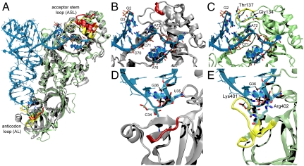 Fig. 3.