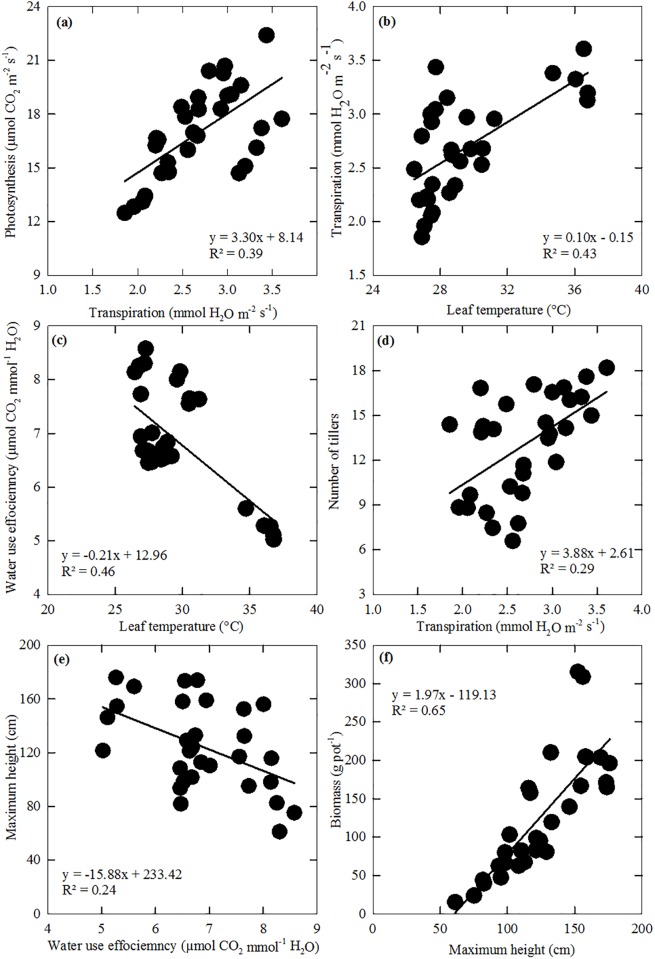 Fig 5