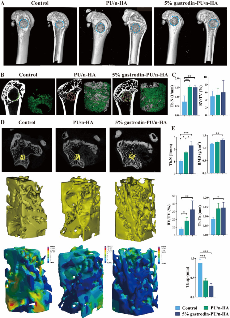 Fig. 9