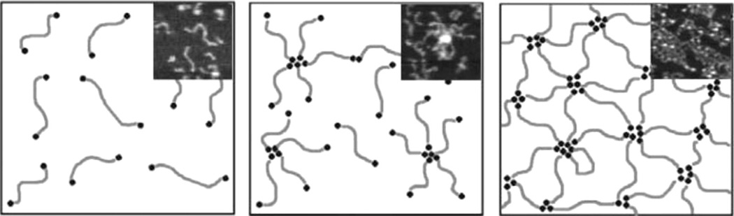 Fig. 33