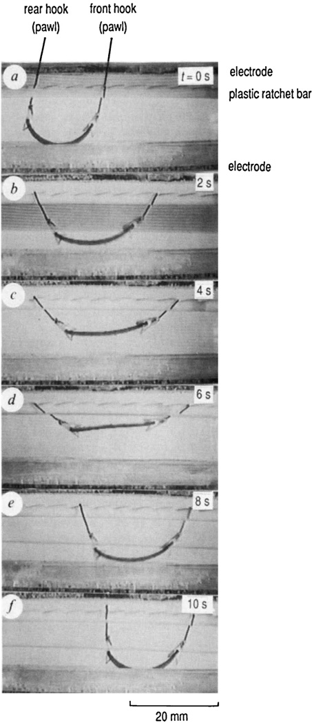 Fig. 18