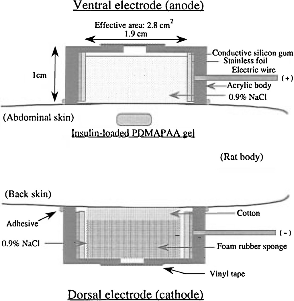 Fig. 20