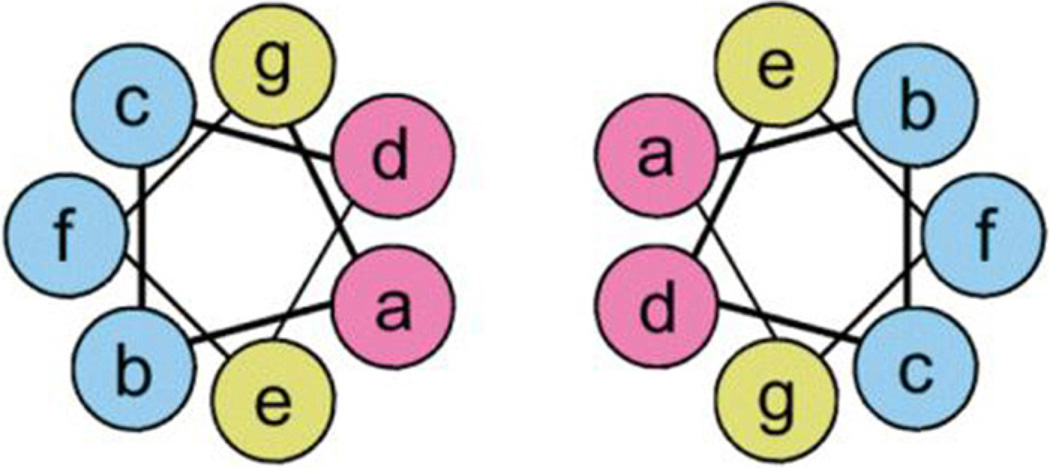 Fig. 25