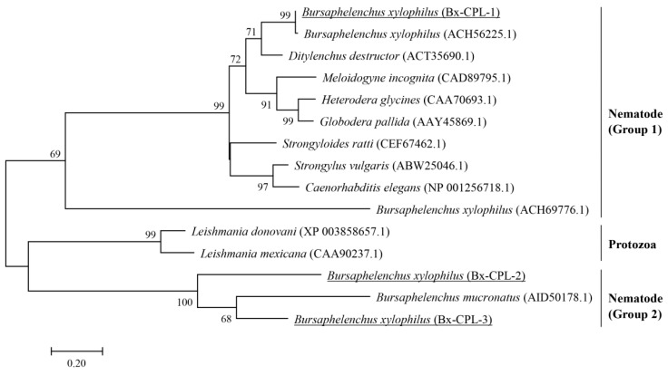 Figure 2