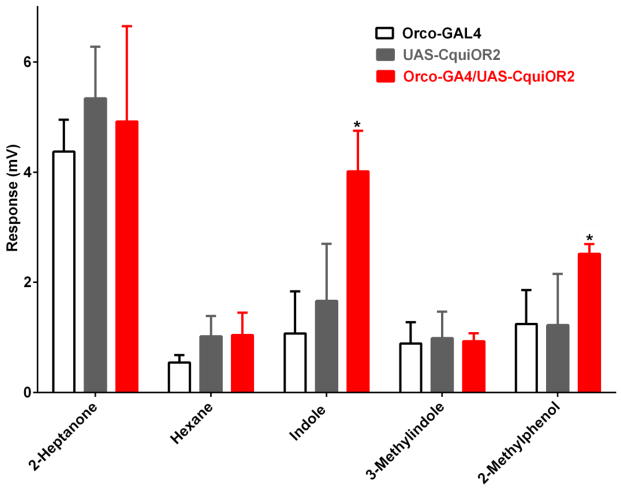 Figure 7