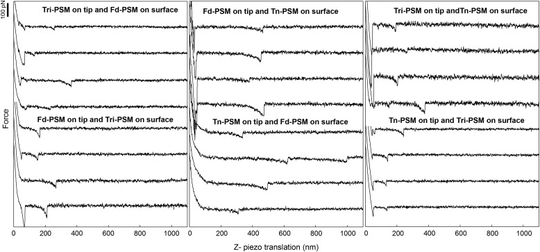 Fig. 2.