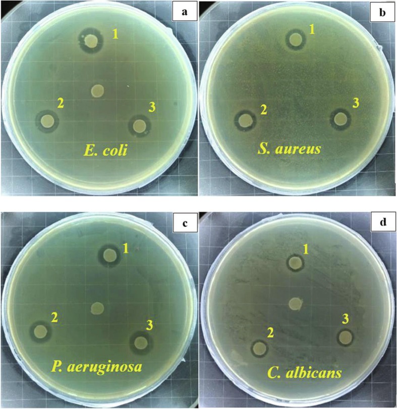 Fig. 9