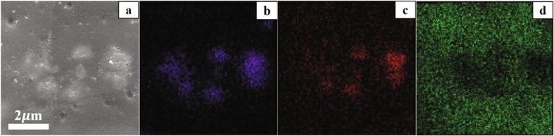 Fig. 10