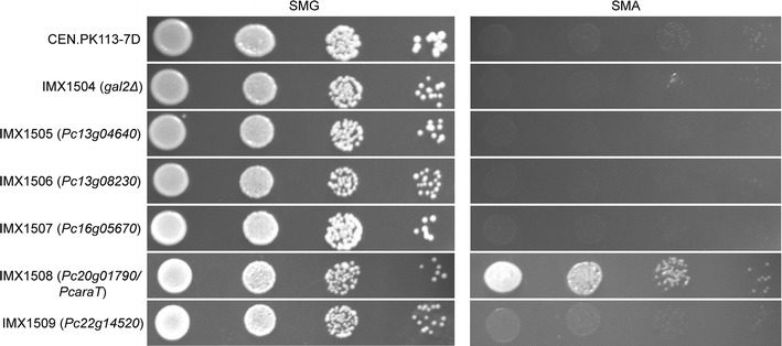 Fig. 1