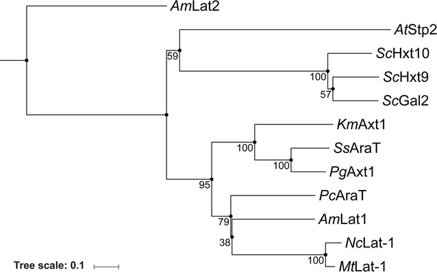 Fig. 3