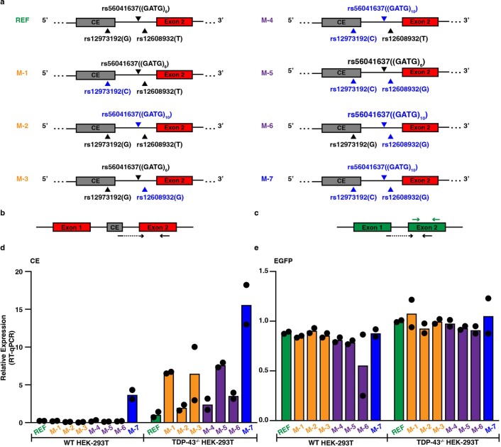 Extended Data Fig. 8