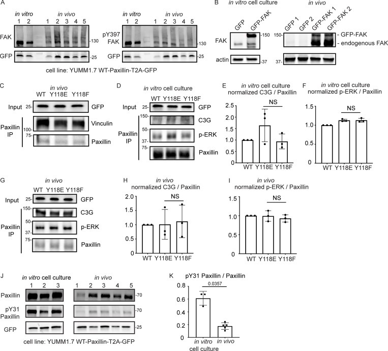 Figure S5.