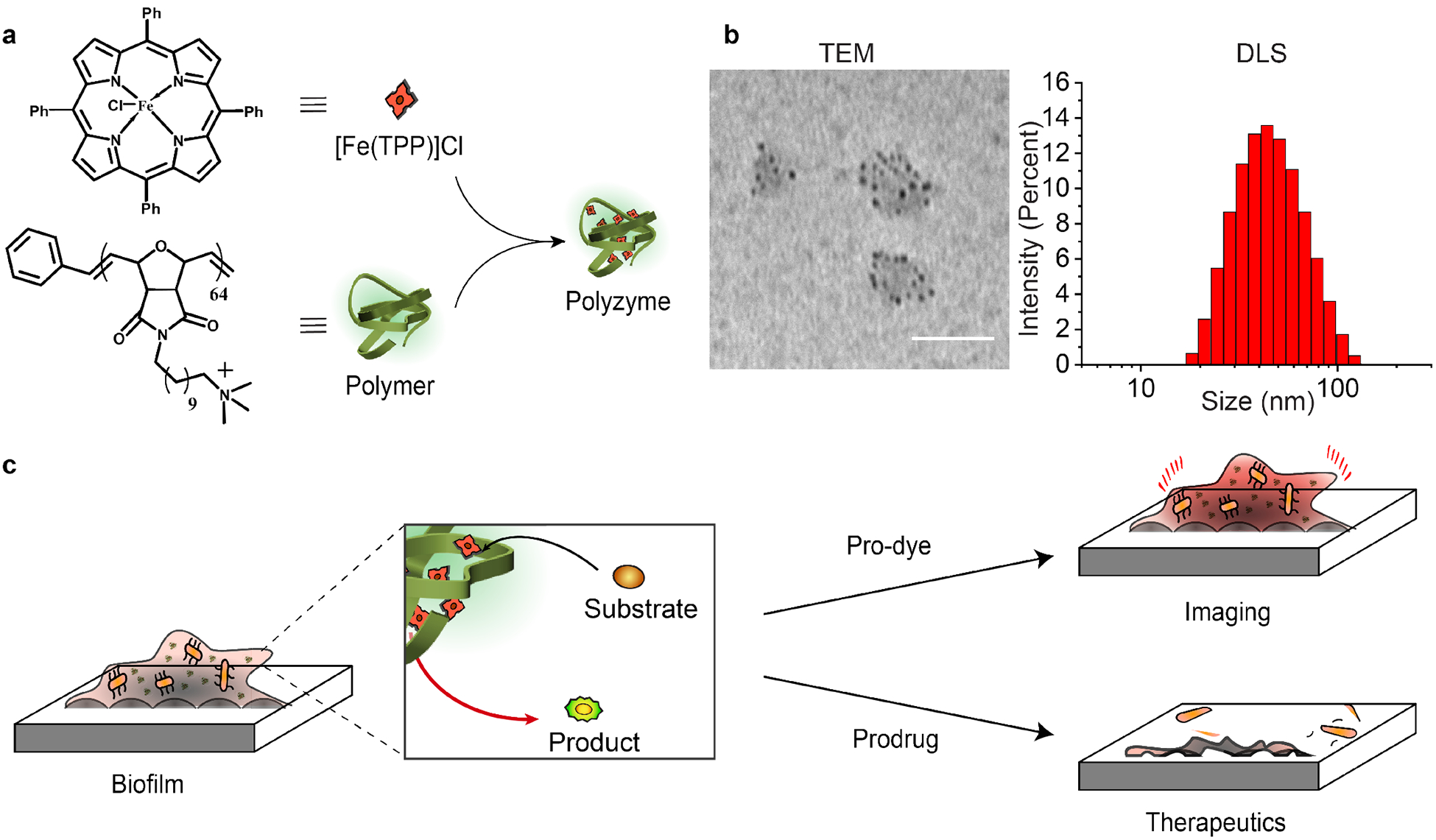 Figure 1.