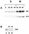 FIG. 11