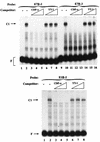FIG. 8