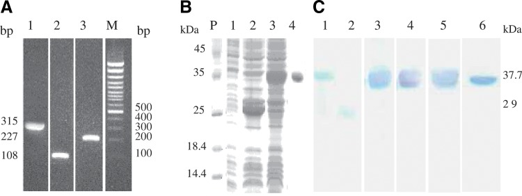 FIG. 3.