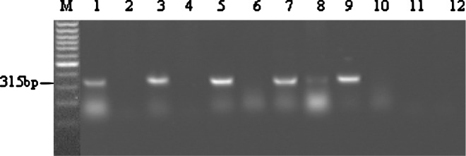 FIG. 5.