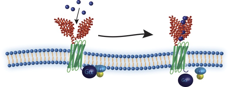 Fig. 2.