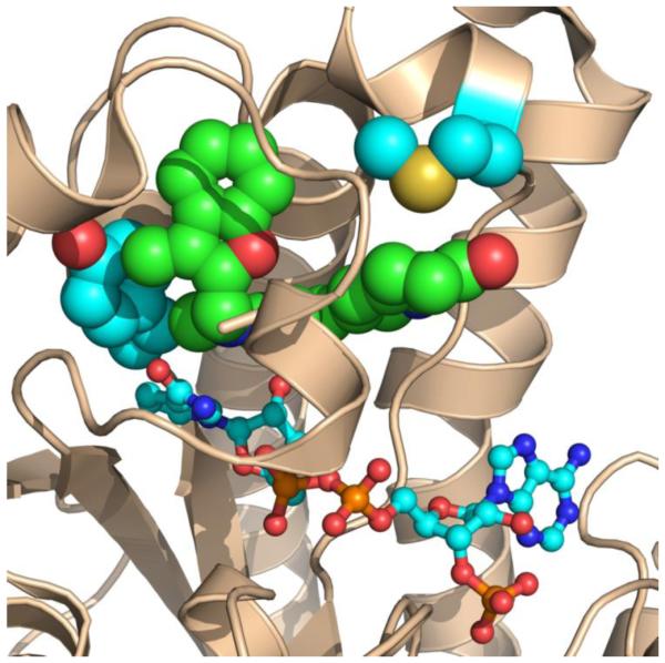 Fig. 3